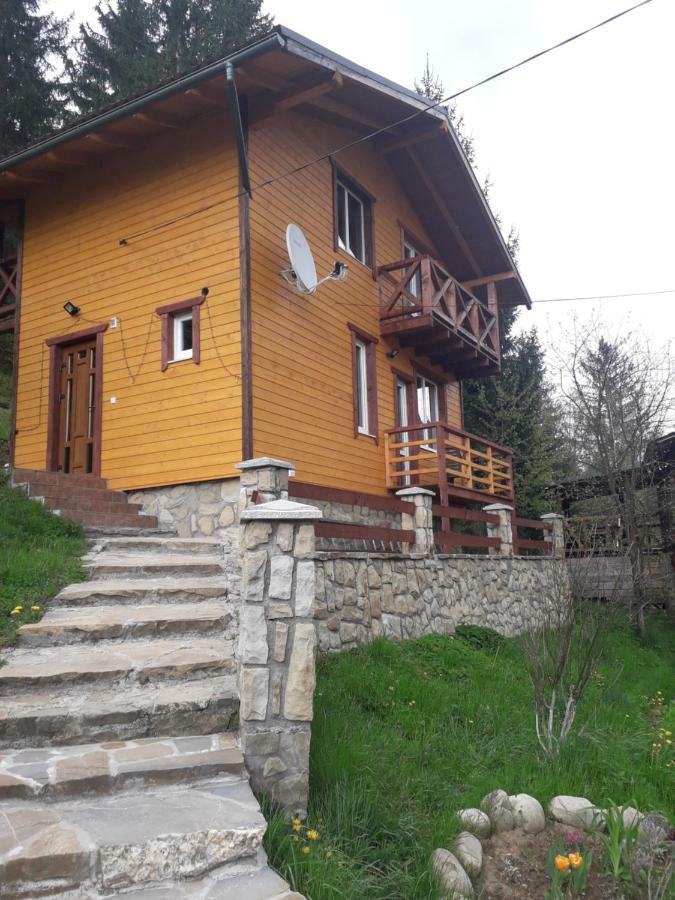 Смериковий Yaremche Exterior photo