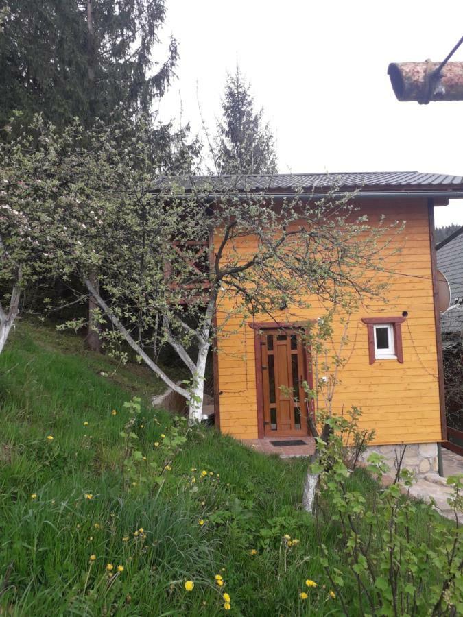 Смериковий Yaremche Exterior photo
